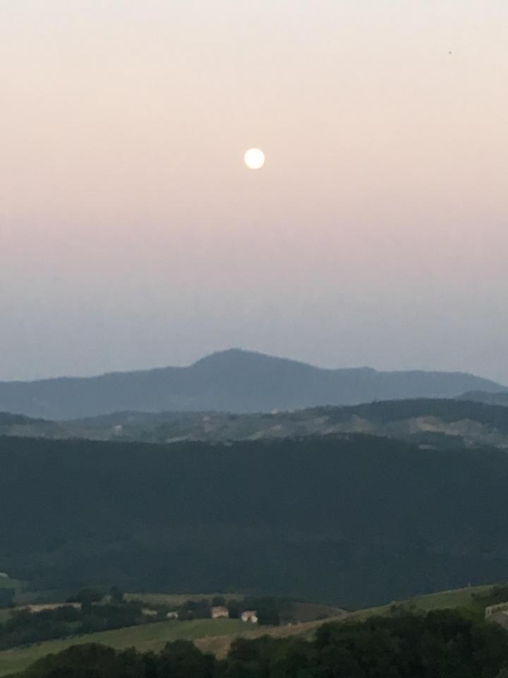 The moon over grey-green hills with a blush pink sky