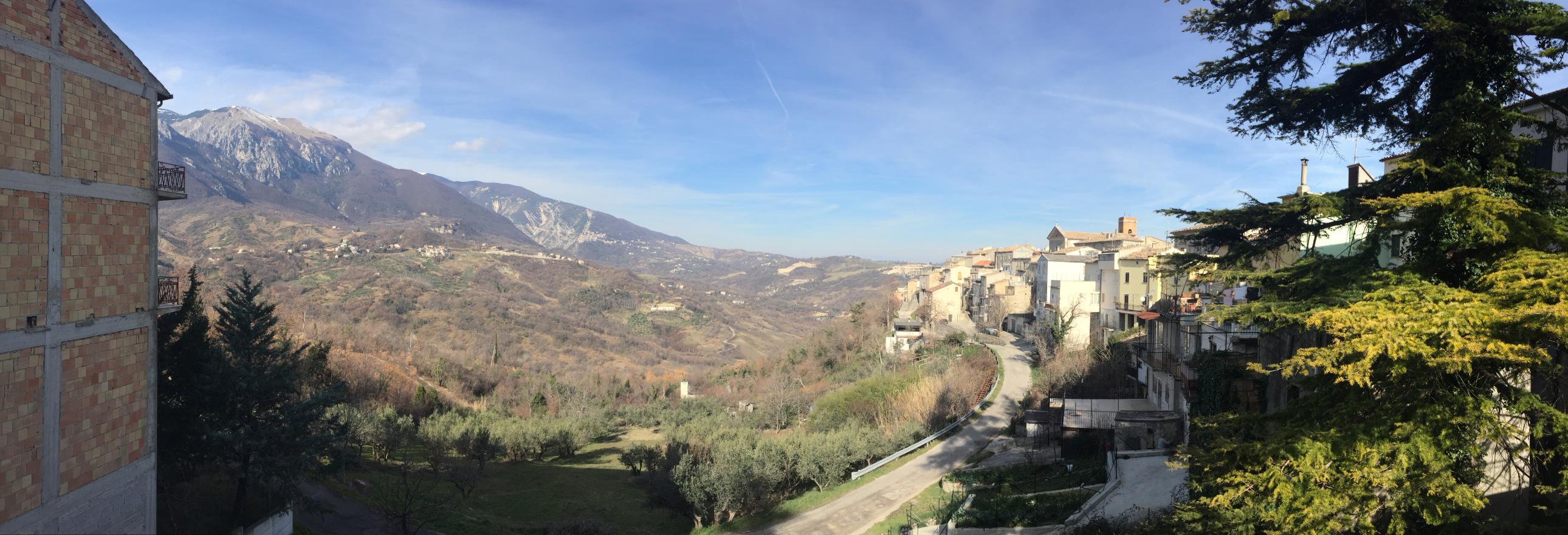 Panoramic view of mountains, old houses and a large cypress tree